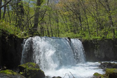 Bahar oirase stream