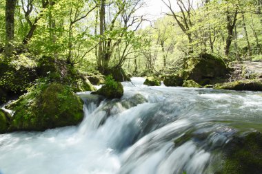 Bahar oirase stream