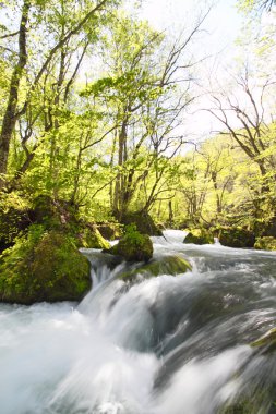 Bahar oirase stream