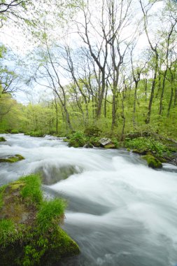 Bahar oirase stream