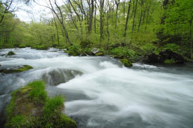 Bahar oirase stream