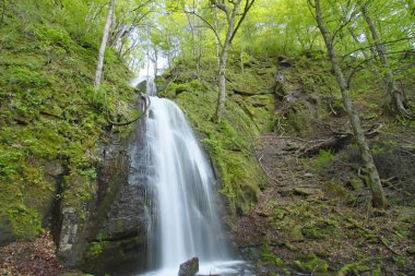 Bahar oirase stream