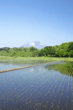 mt.iwate ve pastoral manzara