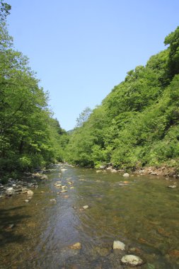 Shirakami-Sanchi