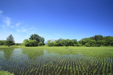 mt.iwate ve mavi gökyüzü