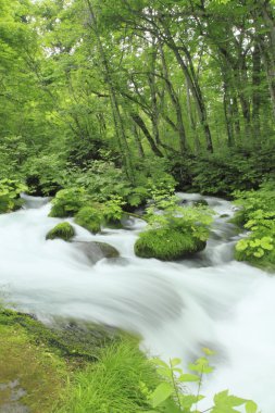 Yaz aylarında oirase dere