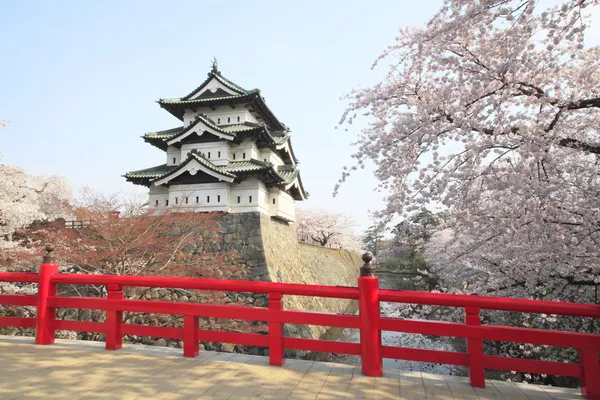 Πλήρη ανθισμένα άνθη κερασιάς και ιαπωνική κάστρο — Φωτογραφία Αρχείου