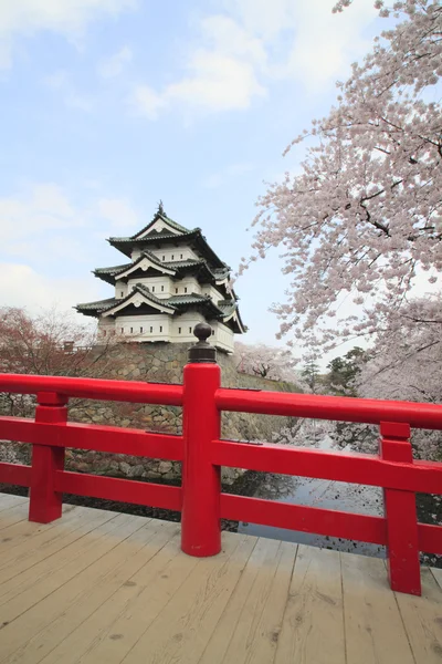 Flores de cereja florescidas cheias e castelo japonês — Fotografia de Stock