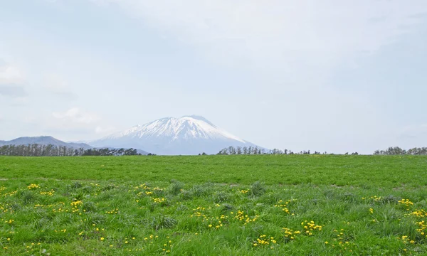 Użytki zielone i mt. iwate — Zdjęcie stockowe