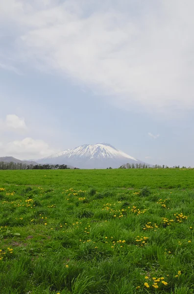 Grassland and Mt. Iwate — Stock Photo, Image