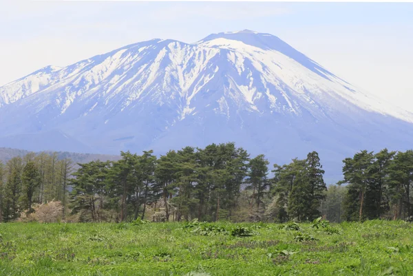 Pastizales y Mt. Iwate. — Foto de Stock