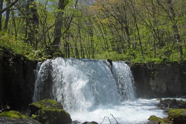 Oirase stream in spring — Stock Photo, Image