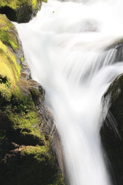 stock image Oirase stream in spring