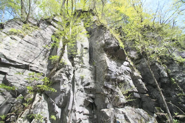 Ruscello di oirasi in primavera — Foto Stock