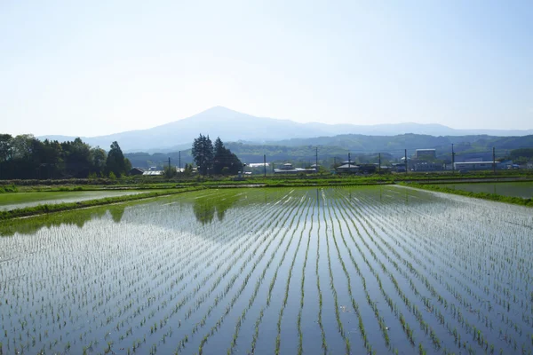 mt.himakami ve pastral manzara