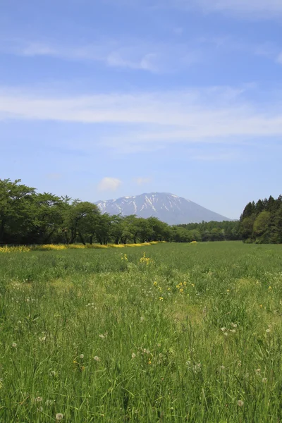 stock image Mt.Iwate and blue sky