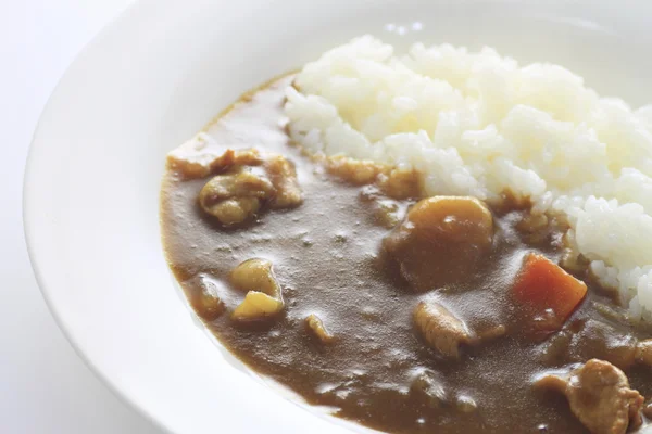 stock image Curry with rice Japanese style