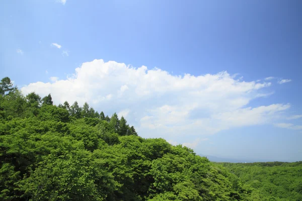 Čerstvé zelené a cloud — Stock fotografie