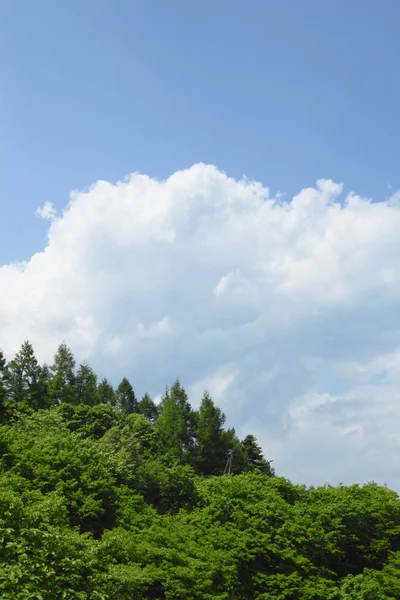 Зеленый и облачный — стоковое фото