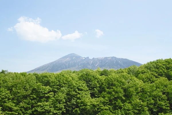 新鮮な緑と岩手山 — ストック写真