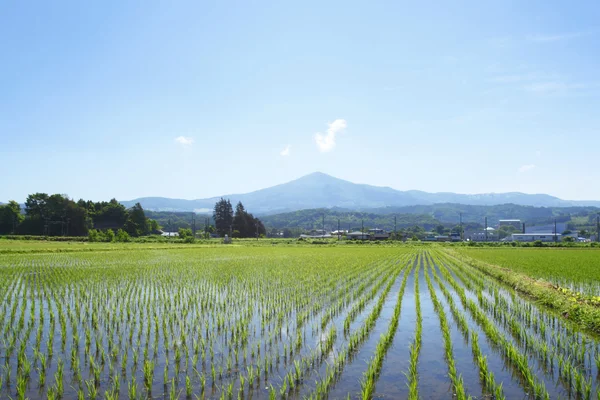 stock image Mt.Himekami and blue sky