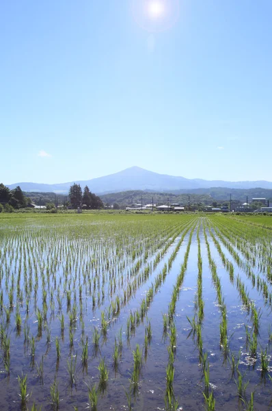 Mt.Himekami and blue sky — Stock Photo, Image