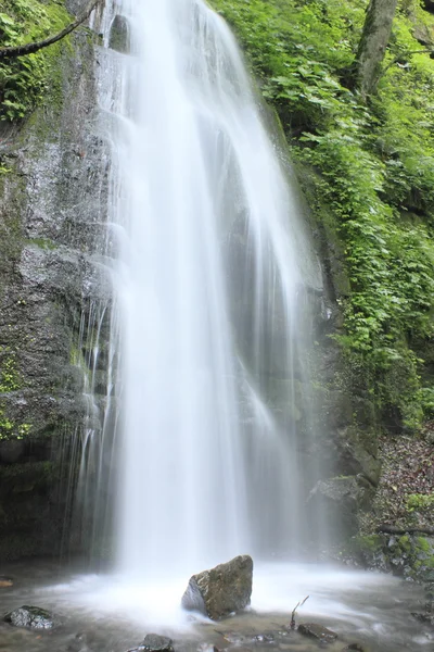 Oirase stream in summer — Stock Photo, Image