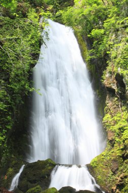 Waterfall fudou