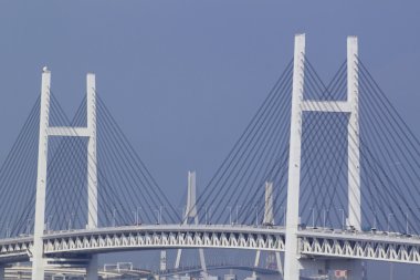 Yokohama Körfez Köprüsü