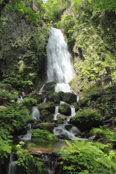 Cachoeira fudou — Fotografia de Stock