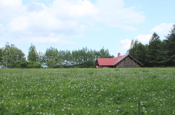 Зеленый и маленький дом — стоковое фото