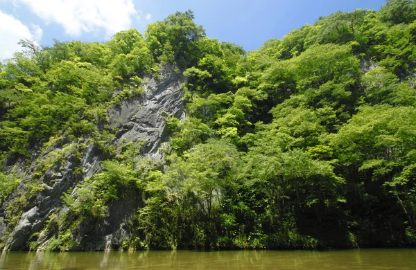 Valley Geibi in Ichinoseki ,Iwate — Stock Photo, Image