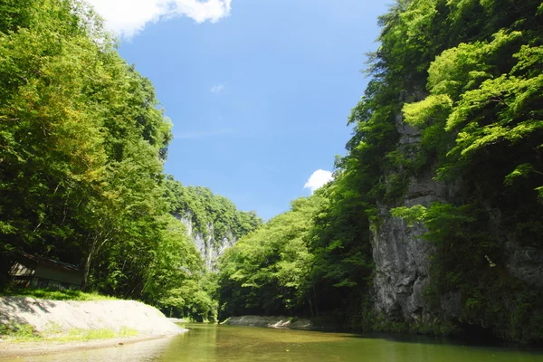 Valle Geibi en Ichinoseki, Iwate —  Fotos de Stock