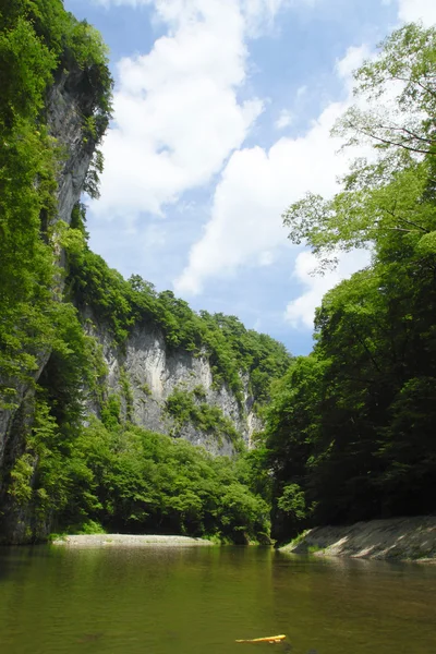 Valley Geibi in Ichinoseki ,Iwate — Stock Photo, Image