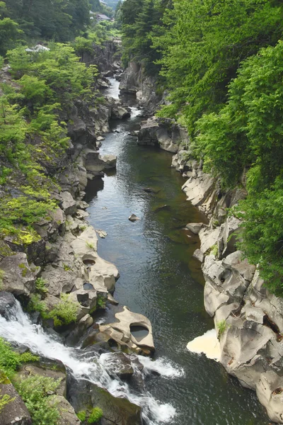 stock image Valley genbi in Iwate,Touhoku