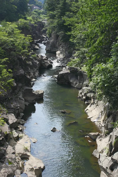 stock image Valley genbi in Iwate,Touhoku