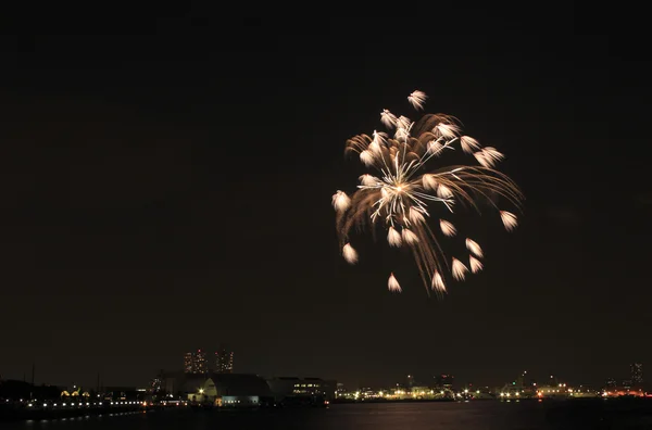 stock image Japanese traditional fireworks