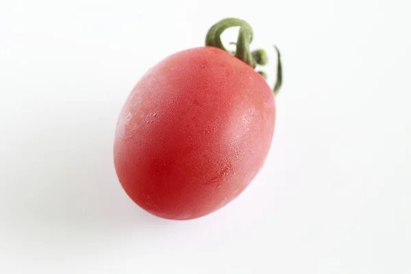 stock image Fresh tomatoes over white