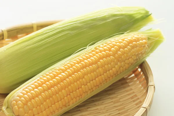 Żółty kukurydza — Zdjęcie stockowe