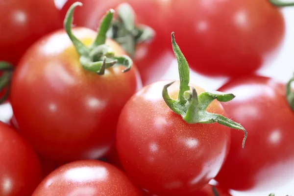 stock image Fresh tomato