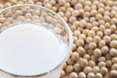 soya fasulyesi ve soya sütü
