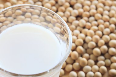 soya fasulyesi ve soya sütü