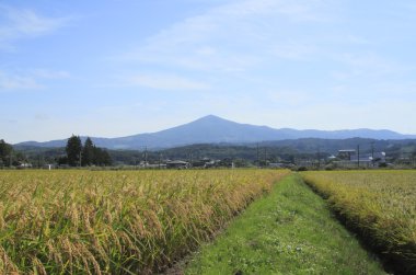 mt.Himekami ve pirinç alan manzara