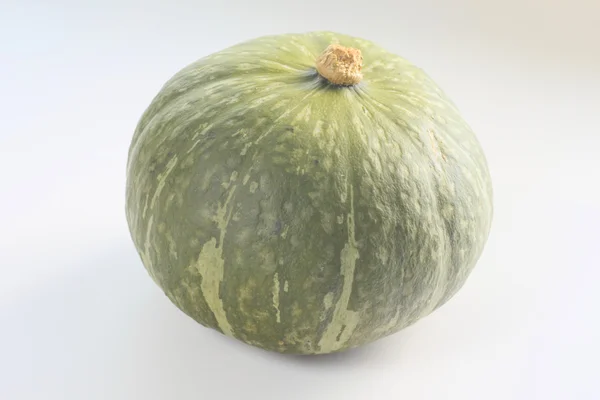 stock image Pumpkin on white background