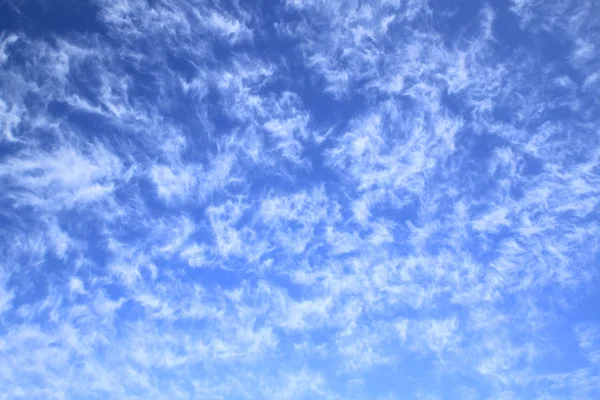 White cloud against blue sky — Stock Photo, Image