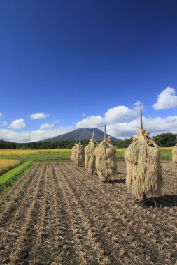 mt.iwate ve pirinç alan manzara