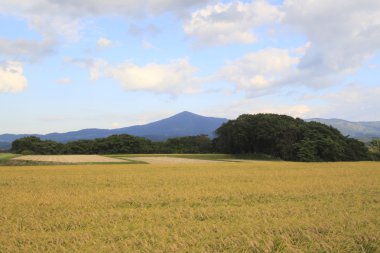 mt.Himekami ve pirinç alan manzara