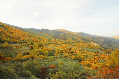 hachimantai'nın renkli yapraklarda