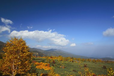 hachimantai'nın renkli yapraklarda