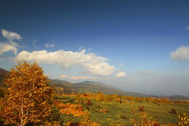 hachimantai'nın renkli yapraklarda